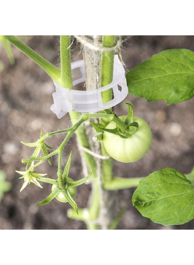 KINGLAKE 150 Pcs Plant Support Garden Clips,Tomato Vine Clips,Tomato Trellis Clips for Vine Vegetables Tomato to Grow Upright and Makes Plants Healthier - Image 2