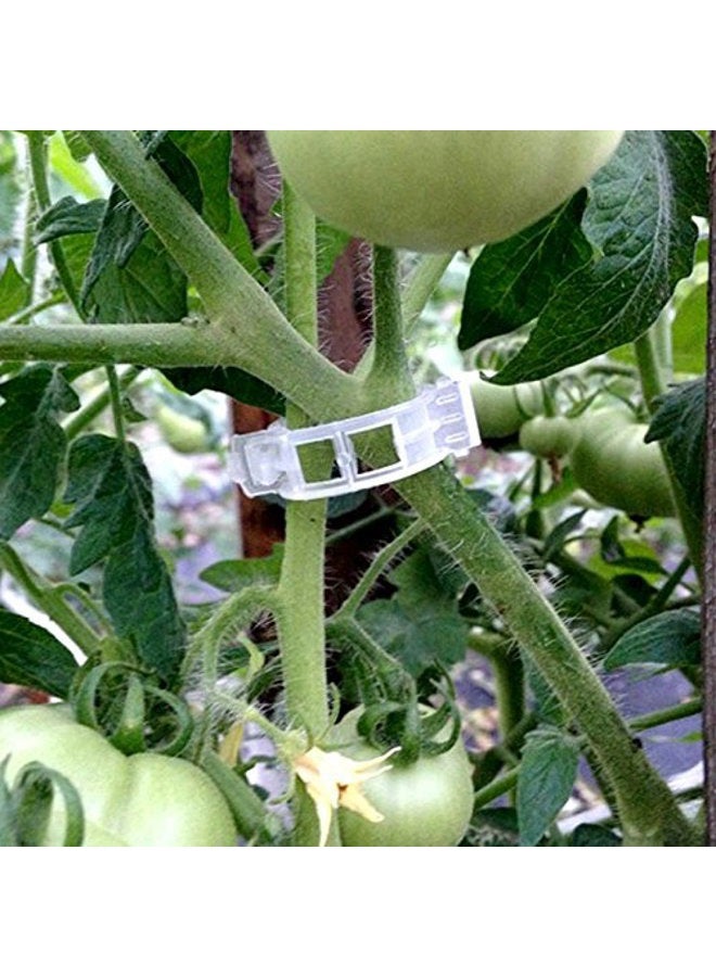 KINGLAKE 150 Pcs Plant Support Garden Clips,Tomato Vine Clips,Tomato Trellis Clips for Vine Vegetables Tomato to Grow Upright and Makes Plants Healthier - Image 5