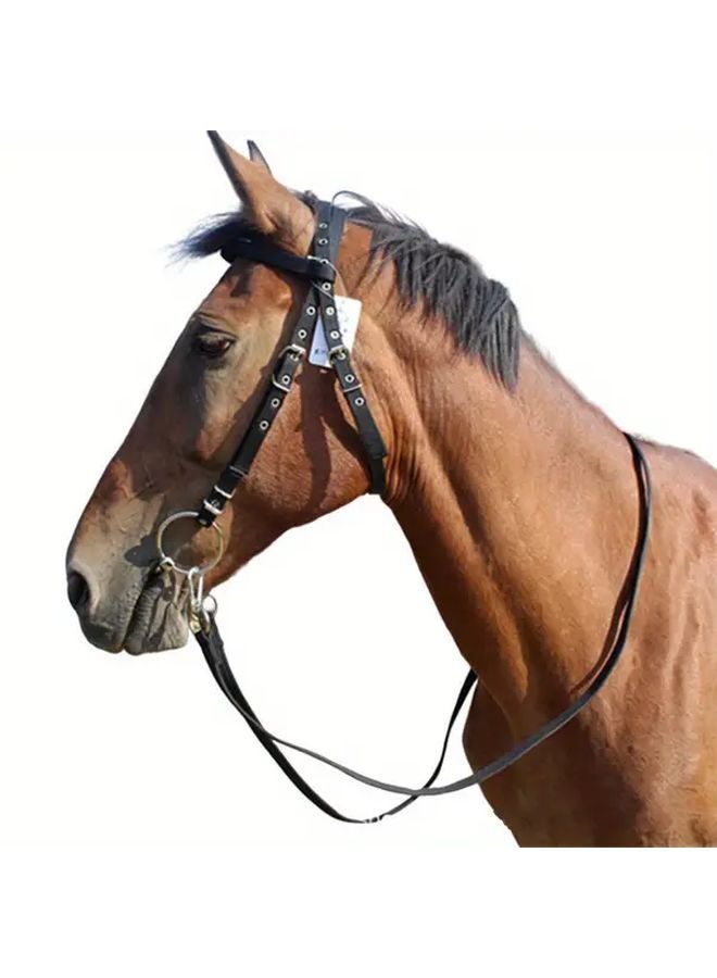 لجام الحصان الأسود أحزمة الفروسية معدات الحصان غطاء الرأس ملحقات - Image 2