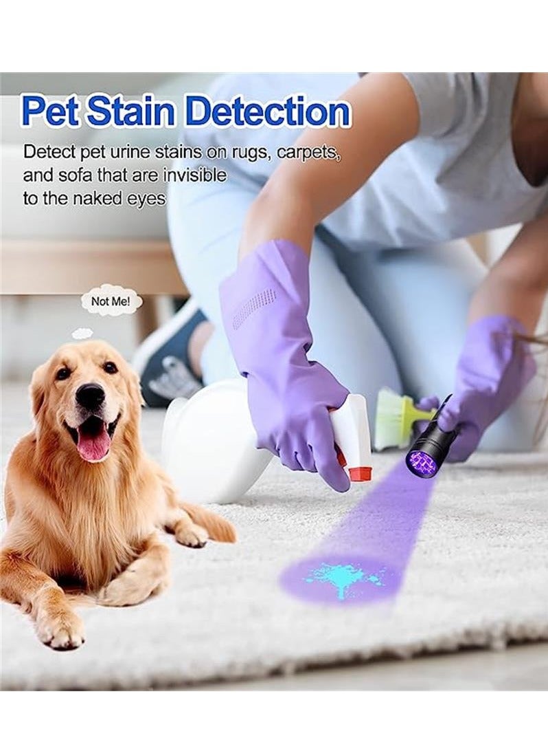 Black Light UV Flashlight Blacklight 12 LED Urine Detector for Dog/Cat/Pet Urine  Dry Stains and Bed Bug On Carpets/Rugs/Floor,Matching with Pet Odor Eliminator - Image 4