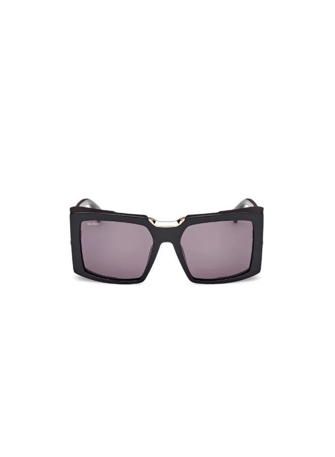 Wayfarers Sunglasses