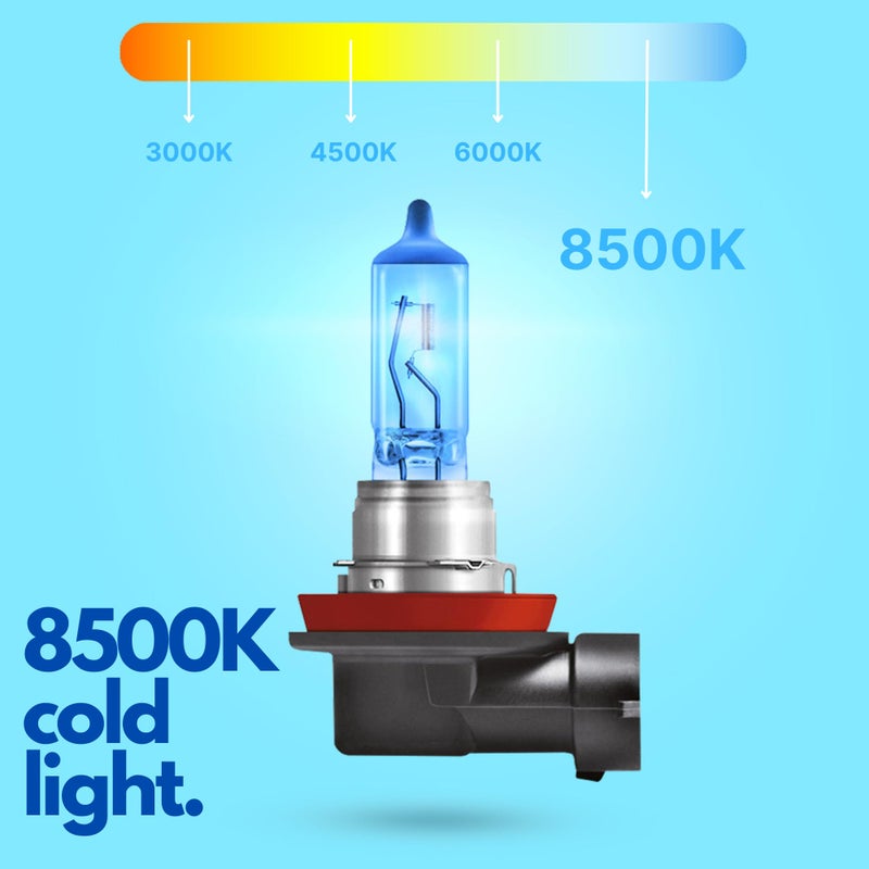 Diamond Vision Diamond Vision 2 x H11 12 V 55 W Xenon Look Halogen Car Bulbs Cool White Twice as Long Lasting E-Mark PGJ19-2  - Image 2