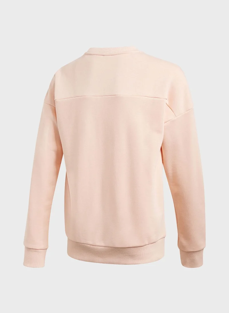Adidas Youth Must Have Sweatshirt