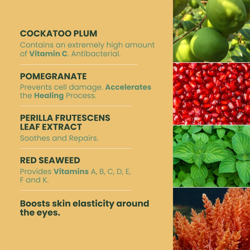 MUDMASKY Vitamin-Infused Eye Serum 30ml / 1.0 FL. OZ. - Skin Care Serum with Vitamin C & K, Reduces Dark Circles, Firms, Moisturizes, Hydrates, Restores Youthful Skin, Eye Care for All Skin Types - Image 3