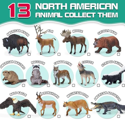 KarberDark 13 Pcs North American Forest Animal Figure Set with Educational Booklet and Gift Box Realistic Plastic Animals Toy for Kids Jungle Theme Party Favor Cake Topper Birthday Gift for Toddler Boy Girl - Image 5
