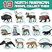 KarberDark 13 Pcs North American Forest Animal Figure Set with Educational Booklet and Gift Box Realistic Plastic Animals Toy for Kids Jungle Theme Party Favor Cake Topper Birthday Gift for Toddler Boy Girl - Image 4