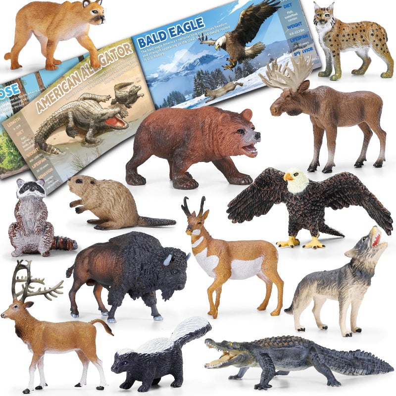 KarberDark 13 Pcs North American Forest Animal Figure Set with Educational Booklet and Gift Box Realistic Plastic Animals Toy for Kids Jungle Theme Party Favor Cake Topper Birthday Gift for Toddler Boy Girl - Image 3