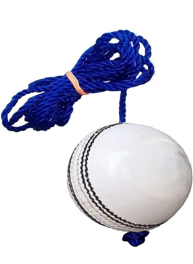 UP15 Leather Cricket Hanging Ball, 1.5 Meter (White) Standard Size - Image 3