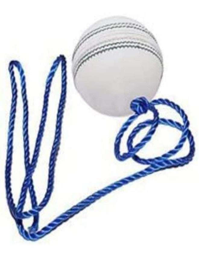UP15 Leather Cricket Hanging Ball, 1.5 Meter (White) Standard Size - Image 4
