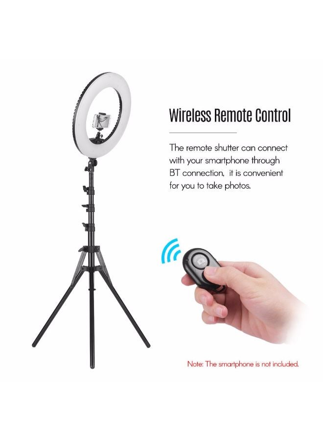 Loquat LED Photography Ring Light With Accessory White - Image 2