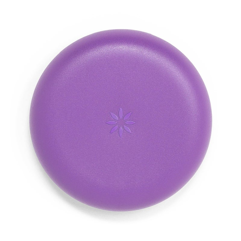 INVISALIGN Invisalign Aligner and Retainer Case Purple