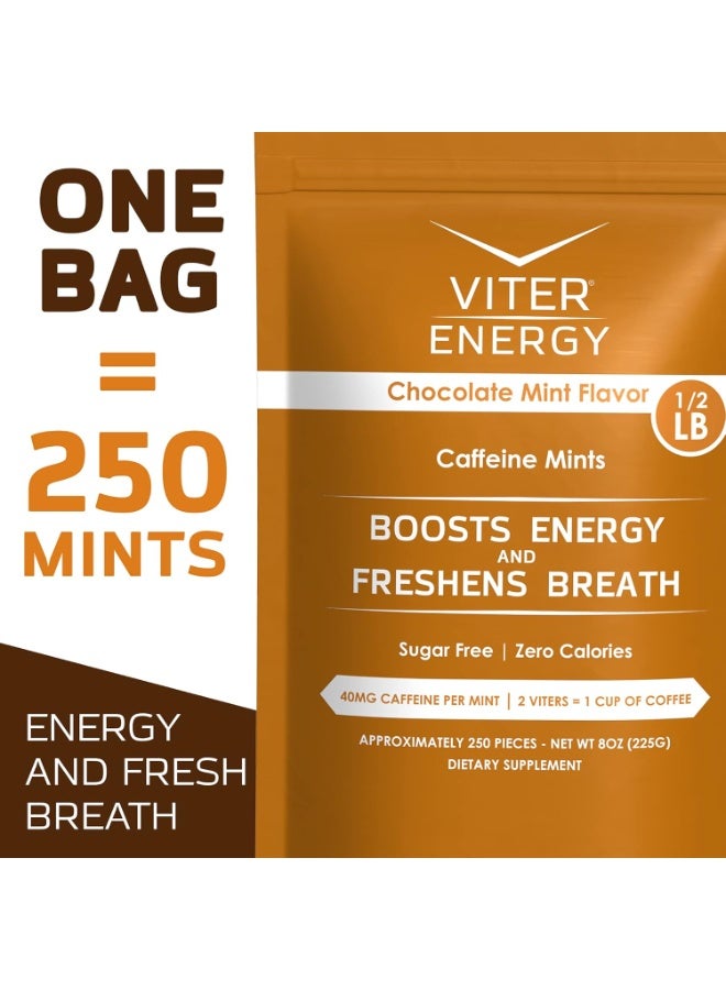 Viter Energy نعناع كافيين - خالي من السكر، فيتامينات ب، نباتي، يعزز الطاقة والتركيز السريع، مكمل نوتروبيك بالكافيين (نكهة الشوكولاتة بالنعناع، 8 أونصات، كيس بالجملة) - Image 5