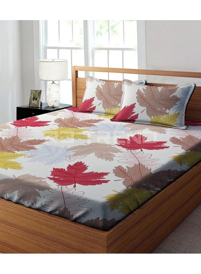 RD TREND Presents Luxurious Glace Cotton Super Soft 210 TC 360° Elastic Fitted Bedsheet Queen Size (78X60X8 Inch) with 2 Pillow Covers, Color-Cream - Image 4