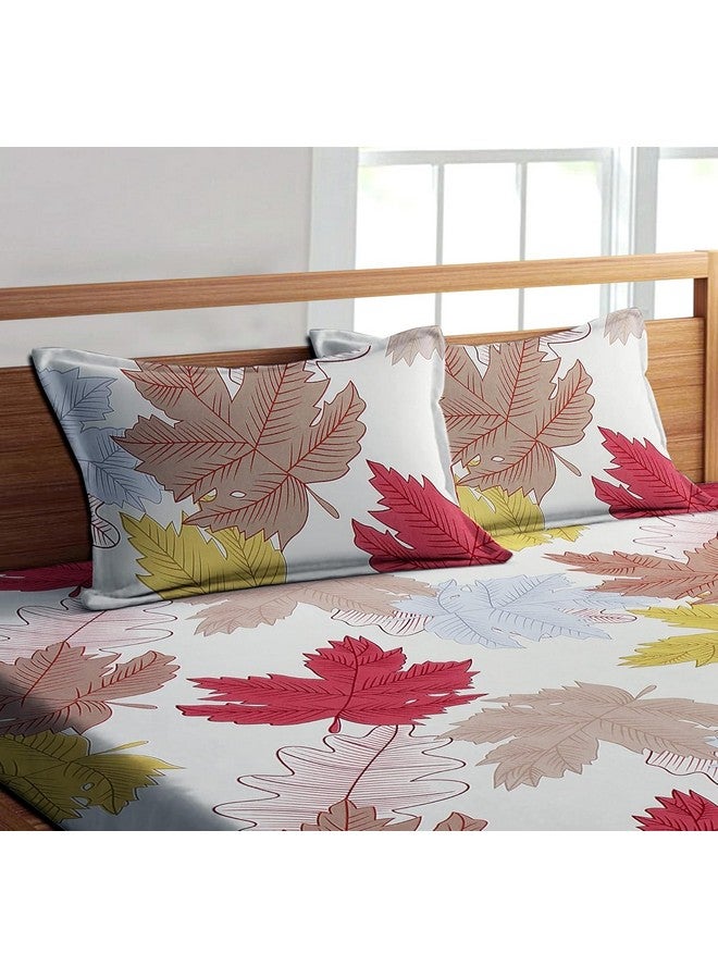 RD TREND Presents Luxurious Glace Cotton Super Soft 210 TC 360° Elastic Fitted Bedsheet Queen Size (78X60X8 Inch) with 2 Pillow Covers, Color-Cream - Image 2