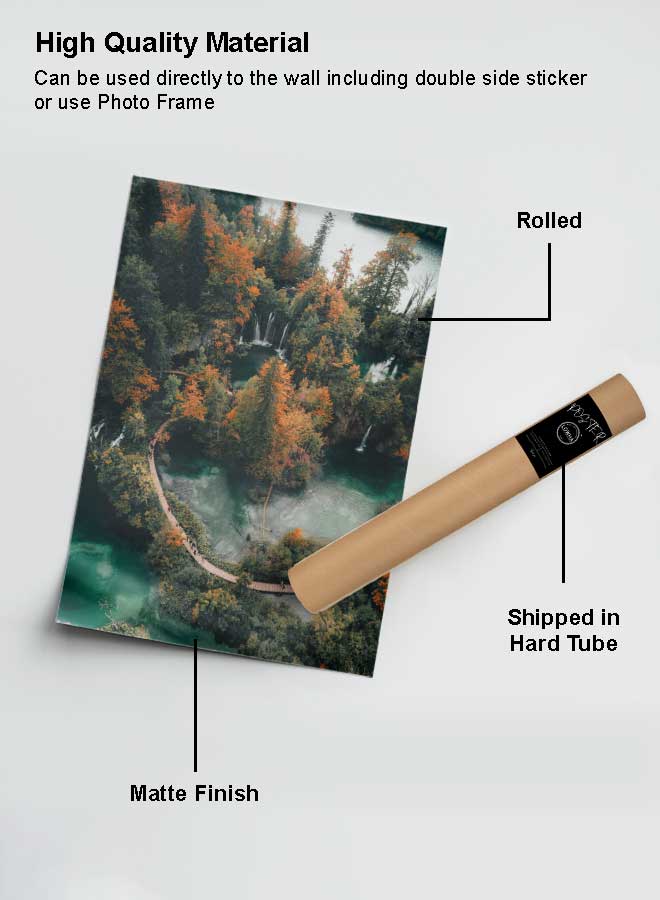 LOWHA Poster Painting Art With Four Separate Pieces Of Double-Sided Stickers Top View Forest For Home Bedroom Living Room And Office Decor  - Image 2