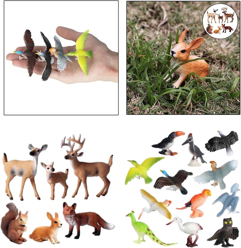 klarako Mini Animal Figurines Set Plastic Bird Figures Toys Forest Animals Figures Woodland Creatures Figurines Woodpecker Parrot Squirrel Rabbit Deer Figures Playset Toys Cake Toppers - Image 5