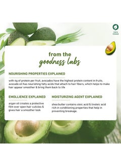 Plum Avocado & Argan Frizz Control Conditioner I For Frizzy Curly & Wavy Hair ; Contains Avocado Oil Shea Butter & Argan Oil ; Sulphatefree I 100% Vegan  - Image 4