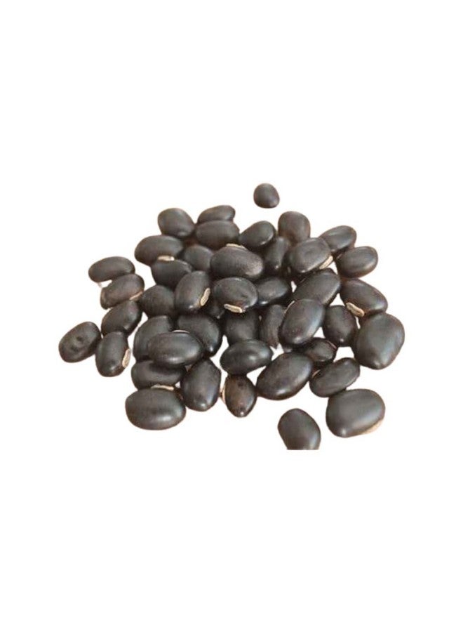 Generic Salebration Black Kaunch Beej Powder, 200gm for Increase Stamina, Testosterone Management, Rich in Iron | Mucuna Pruriens | Poonaikali Veethai | •°ÁªÍªÁ ªÂ©È•Í•¾²¿ | Velvet Beans  - Image 2