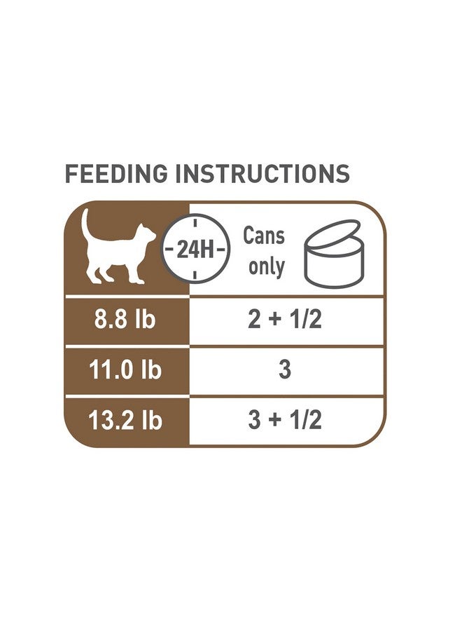 Royal Canin Aging 12+ Thin Slices in Gravy Canned Cat Food, 3 oz can (12-pack) - Image 3
