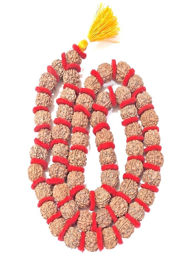PICCOTI Natural 5 Mukhi Rudraksha Mala | Spiritual Practice Beads | Brown, 110 gm, 2 cm beads - Image 1