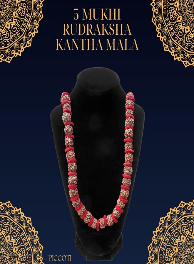 PICCOTI Natural 5 Mukhi Rudraksha Mala | Spiritual Practice Beads | Brown, 110 gm, 2 cm beads - Image 3
