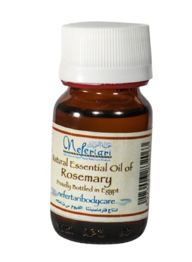نيفيرتاري زيت الروزماري العطري من نفرتاري – زيت عطري مركز برائحة عشبية منعشة (25 مل) - Image 1