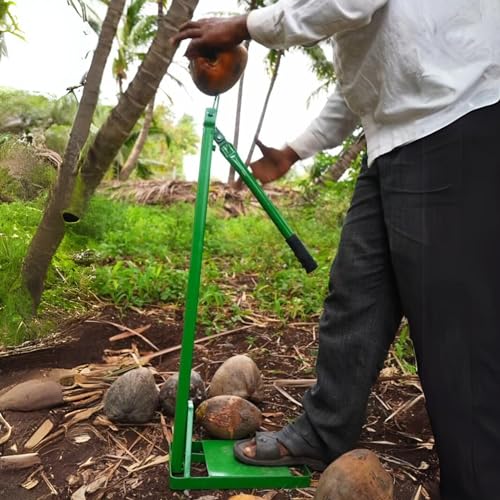 Mischief Green Coconut Dehusker, Coconut Husk Peelar, Manual Coconut Husk Peelar Height 2 Feet, Small Naral Solni Green (नारळ सोलणी) - Image 3