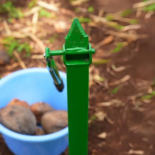 Mischief Green Coconut Dehusker, Coconut Husk Peelar, Manual Coconut Husk Peelar Height 2 Feet, Small Naral Solni Green (नारळ सोलणी) - Image 5
