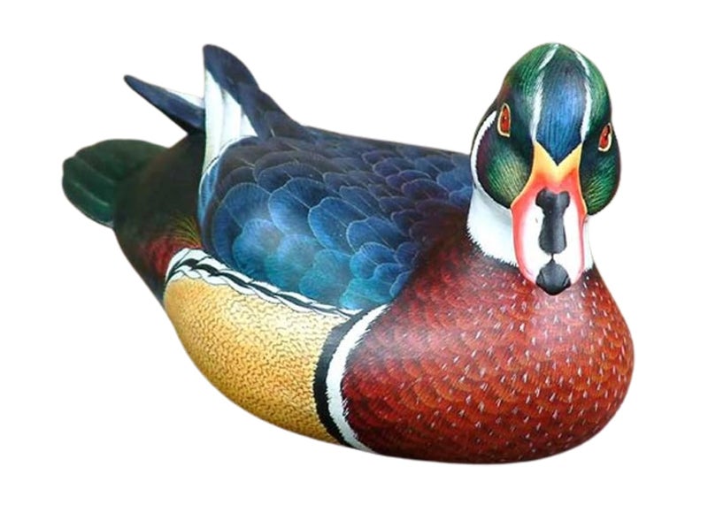 NOVICA Carolina Wood Duck Wood Statuette