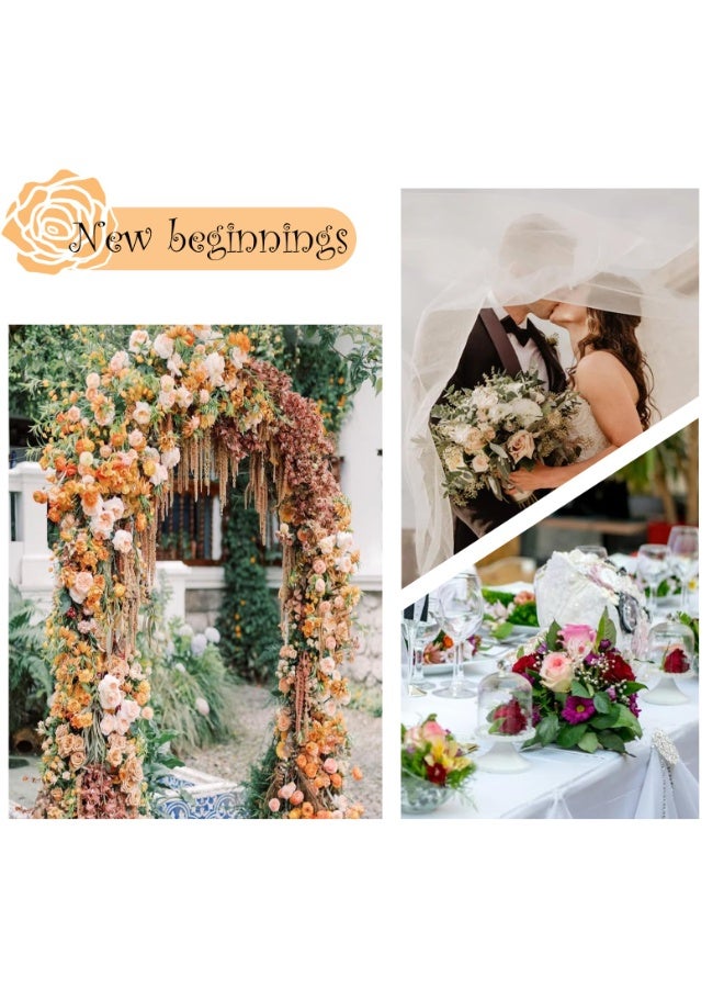 قوس حديقة معدني - دعامة تعريشة للنباتات المتسلقة، قوس ودعامة نباتات لتزيين حفلات الزفاف والمناسبات في الحدائق الخارجية، قوس زينة للحديقة خفيف الوزن للحفلات والزفاف، أسود - Image 2