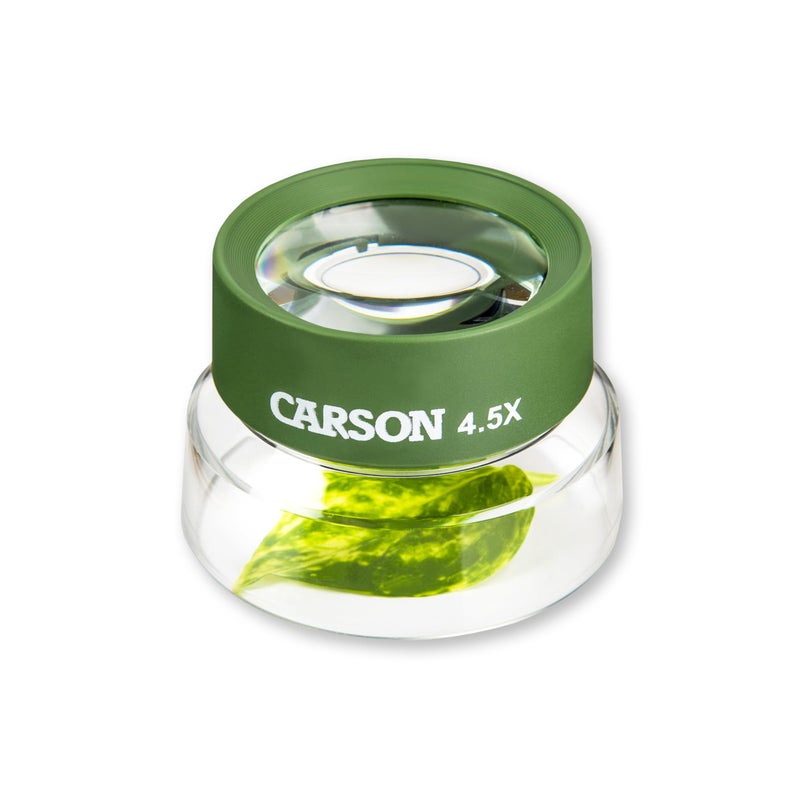 Carson Carson Kids BugLoupe 4.5x Pre-Focused Stand Magnifier Loupe for Viewing Insects, Plants, Coins, Stamps, Maps, Fine Print and Wildlife (HU-55), Green, One Size  - Image 3
