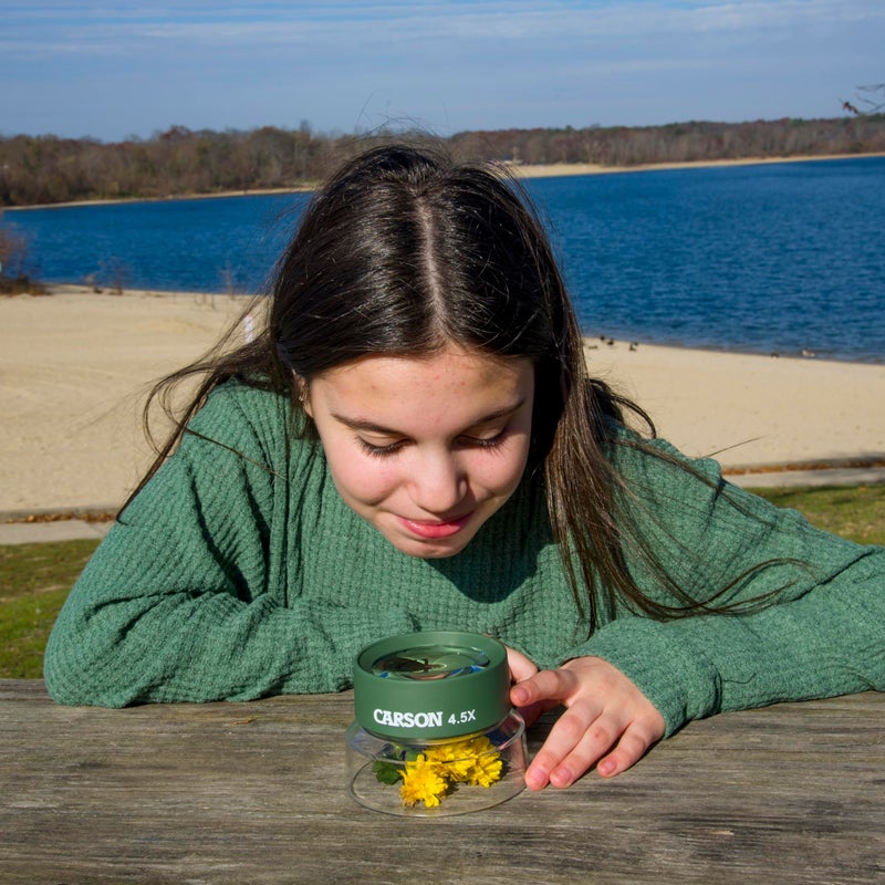 Carson Carson Kids BugLoupe 4.5x Pre-Focused Stand Magnifier Loupe for Viewing Insects, Plants, Coins, Stamps, Maps, Fine Print and Wildlife (HU-55), Green, One Size  - Image 5