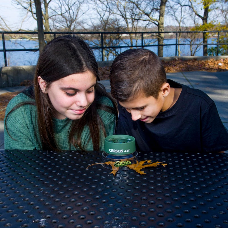 Carson Carson Kids BugLoupe 4.5x Pre-Focused Stand Magnifier Loupe for Viewing Insects, Plants, Coins, Stamps, Maps, Fine Print and Wildlife (HU-55), Green, One Size  - Image 4