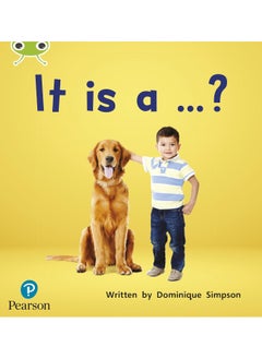 Bug Club Phonics Non-Fiction Early Years and Reception Phase 2 Unit 3 It is a ...? 