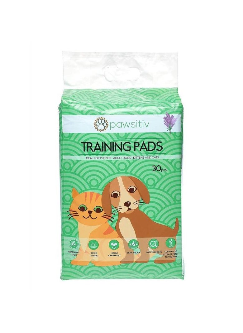 Pawsitiv Pawsitiv Multifunctional Training Pee Pad for Puppy, Kitten, Dog and Cat - Lavender Scented 30pcs 