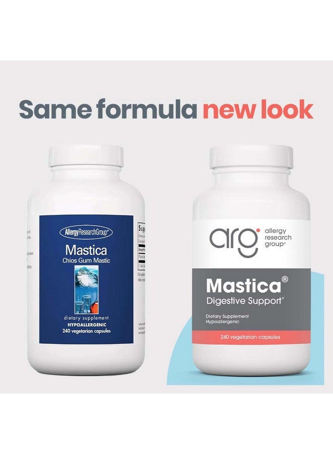 اليرجي ريسيرتش جروب مجموعة أبحاث الحساسية - مكمل غذائي ماستيكا - صحة الجهاز الهضمي، يساعد في تخفيف مشاكل الجهاز الهضمي، صمغ ماستيك من خيوس، مضاد للحساسية، كبسولات نباتية - 240 كبسولة - Image 2