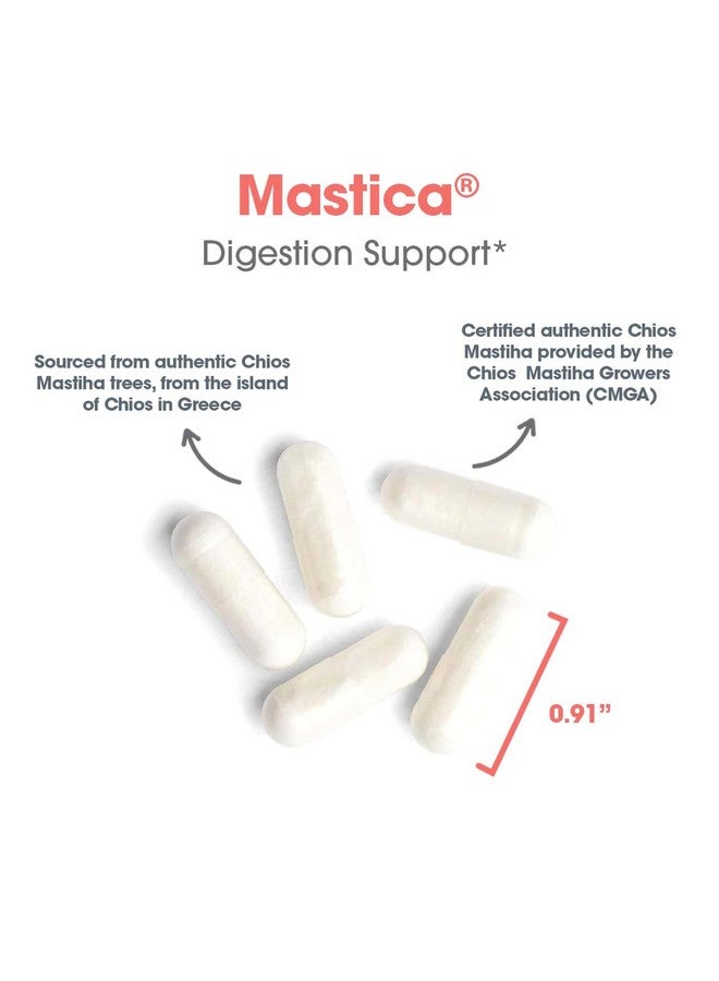 اليرجي ريسيرتش جروب مجموعة أبحاث الحساسية - مكمل غذائي ماستيكا - صحة الجهاز الهضمي، يساعد في تخفيف مشاكل الجهاز الهضمي، صمغ ماستيك من خيوس، مضاد للحساسية، كبسولات نباتية - 240 كبسولة - Image 5
