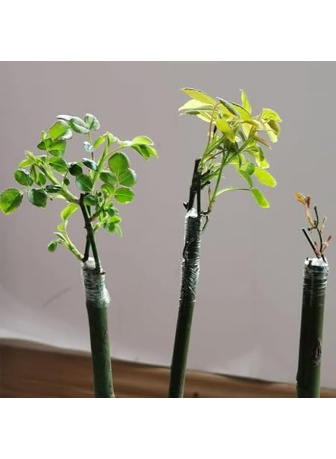 Green Tiger Tape Grafting Film for Plants, Stretchable Garden Grafting Tape Plants Repair Budding Tapes for Floral Fruit Tree and Poly Budding Tape - Image 2