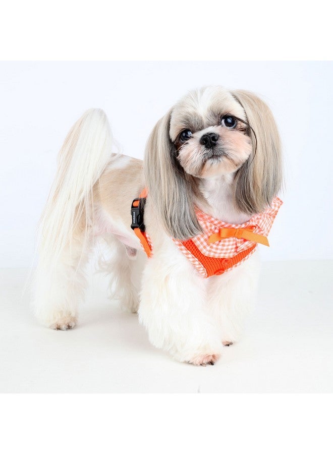 PUPPIA Puppia Vivien Dog Harness Over-The-Head All Season Cute No Pull No Choke Walking Training Adjustable for Small Dog, Sky Blue, Medium  - Image 4
