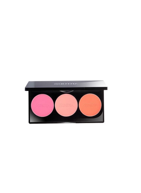 Artemis Multi Color Contour Palette – Y02