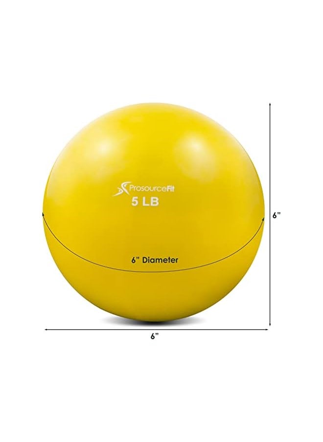 ProSourceFit - Weighted Toning Exercise Balls For Pilates - Image 1