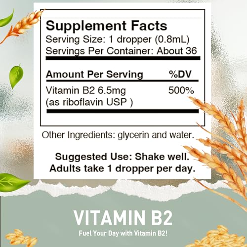HoneyCombs Vitamin B2 Riboflavin Liquid Drops - Made in The USA - Natural High Potency Fast Absorption Vitamin B2 for Men, Women & Children - Vegan Formula - Bulk Sizes Also Available - Image 4