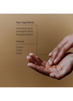 Aesop Aesop Geranium Leaf Body Cleanser + Refill | Invigorating Cleansing Gel | Alternative to Conventional Soap | 16.9 oz, Pack of 2  - Image 3