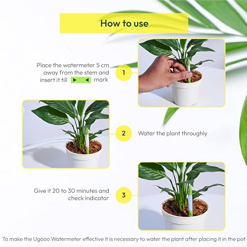 UGAOO Sustee Plant Watermeter with Soil Moisture Sensor - Set of 3 (Green, Small) - Image 3