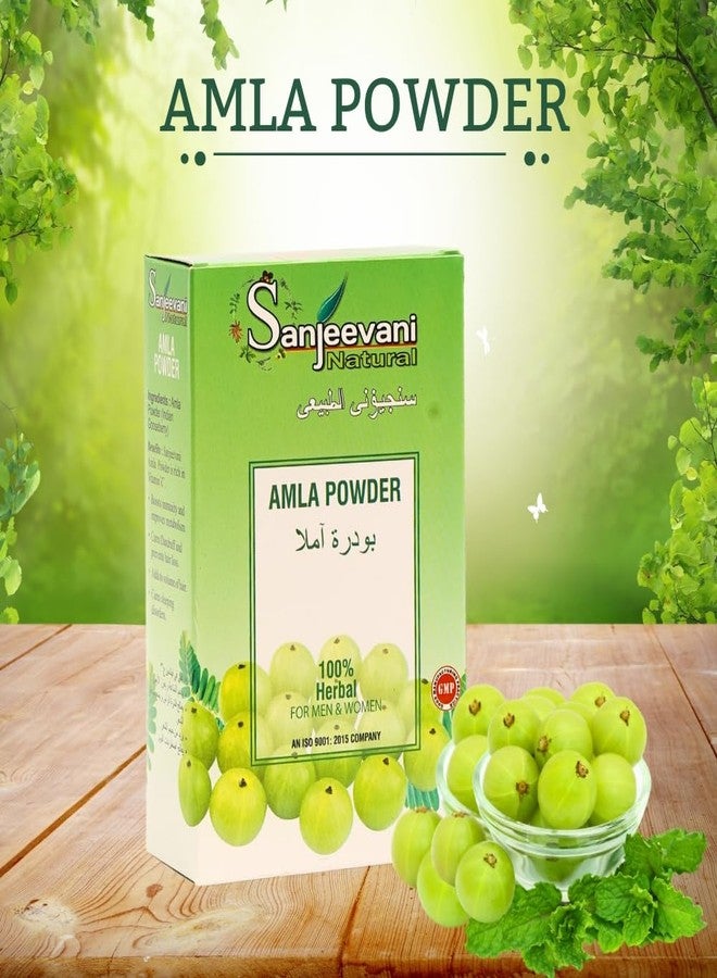 Sanjeevani Natural Amla Powder for Hair Growth & Care | Pure Indian Gooseberry Rich in Vitamin C | Strengthens Hair, Controls Dandruff, Brightens Skin | Edible & Drinkable Organic Powder | Pack of 1 (100g) - Image 2
