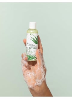 Secret Secret Aloe Vera shampoo Reduces Dandruff And Itchy scalp Free from Sls Parabens and Silicones 100ml  - Image 4