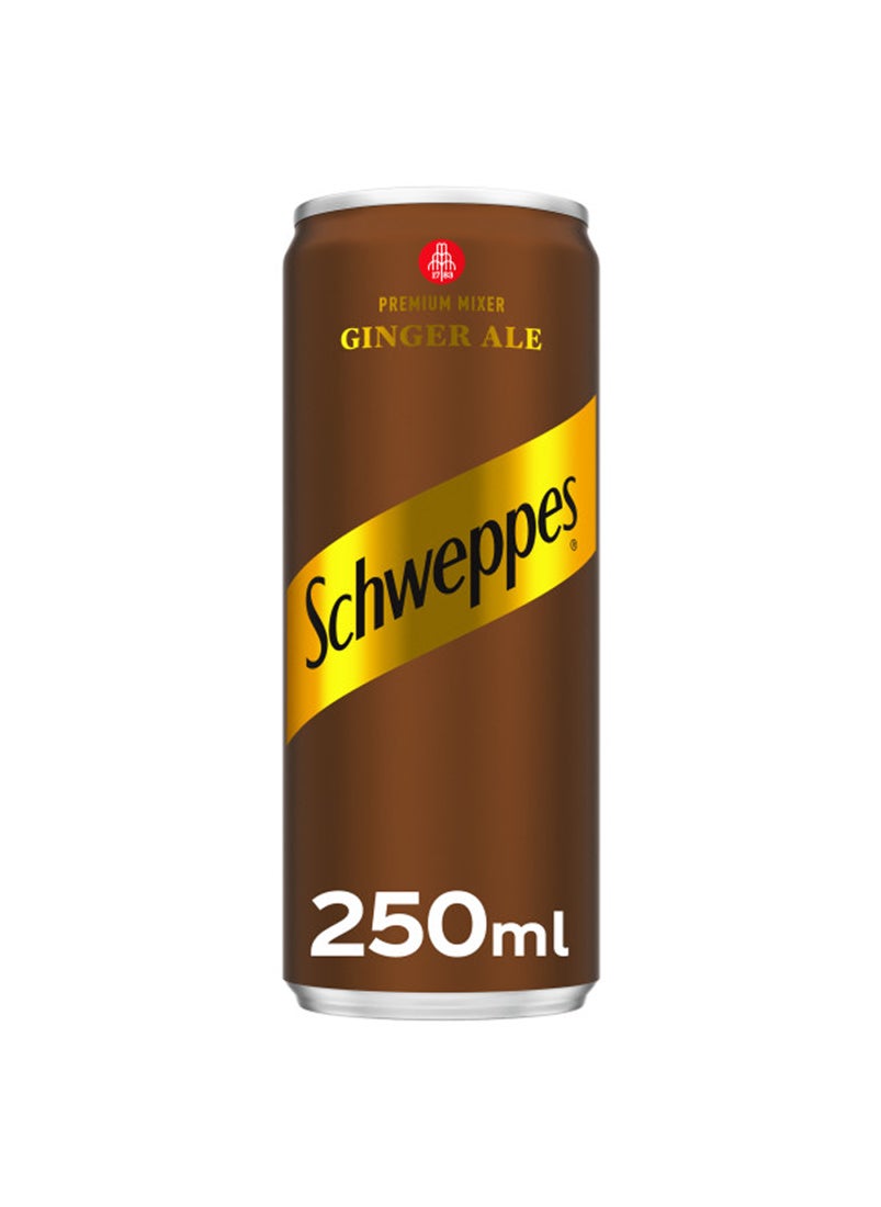 Schweppes Ginger Ale and Soda Water Cans 6 x 250ml + 2 x 250ml  - Image 2