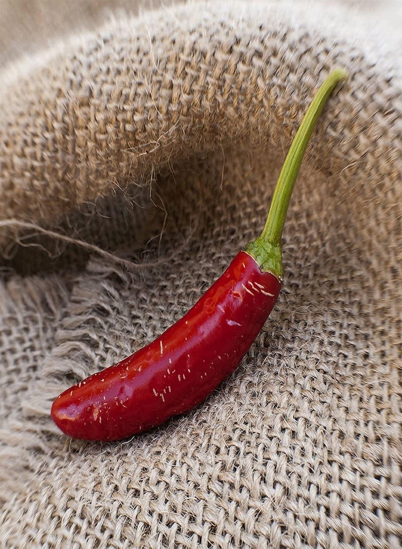 GGOOT Serrano Heirloom   Premium Seeds 100pcs/Packet