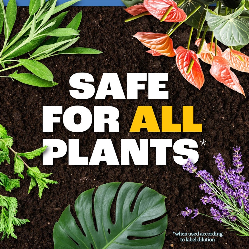 Pennington Easy Dose Plant Starter 32oz - Image 3