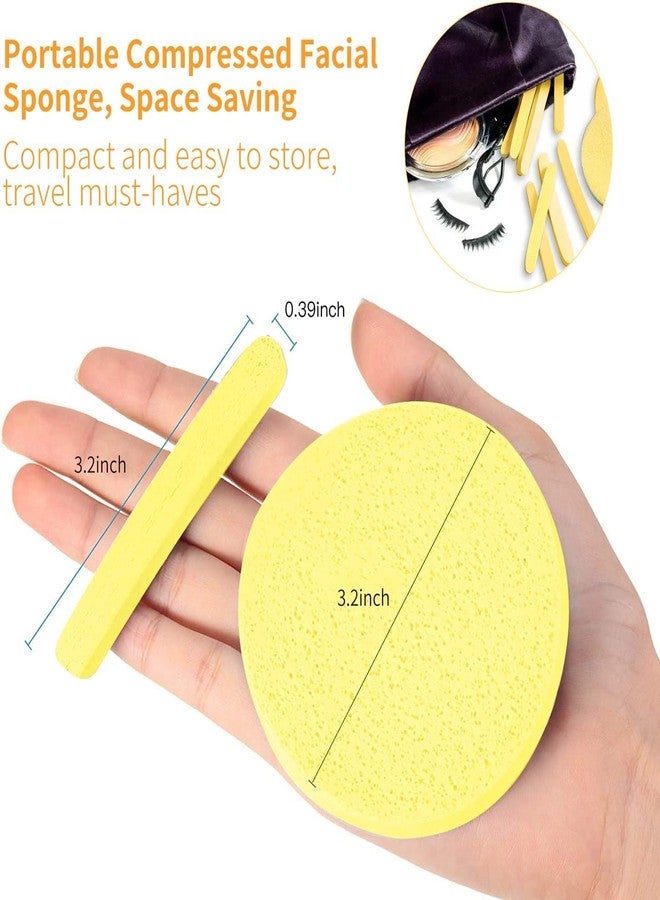 Calitate24 6Pcs Compressed Facial Sponges For Face Cleansing - 100% Natural Eco Friendly Facial Sponges For Estheticians - Round Makeup Sponges Travel Makeup Remover Pads - Reusable Face Sponge - Image 2